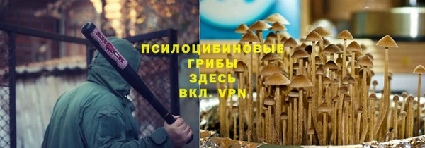СК Верея