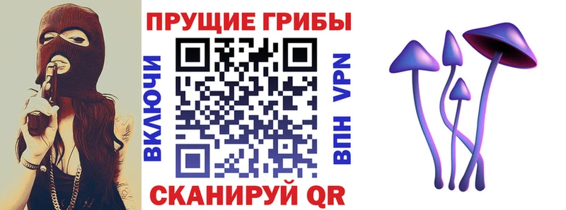 Купить  Новотроицк  Псилоцибиновые грибы ЛСД 